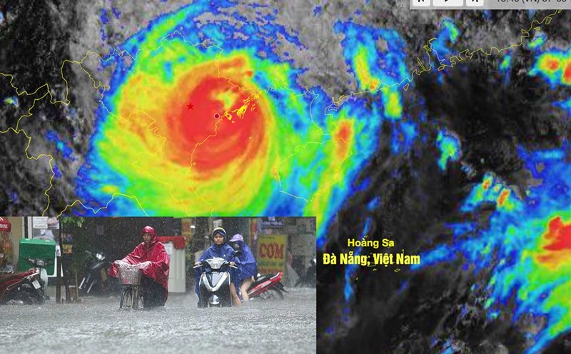 Storm. Photo: Vu Linh