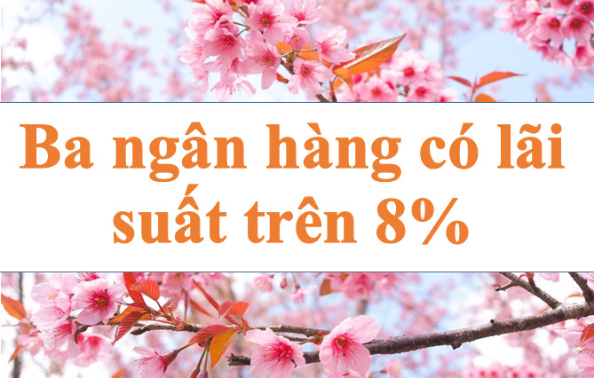 Ba ngân hàng có lãi suất trên 8%. Ảnh minh họa: Hà Vy