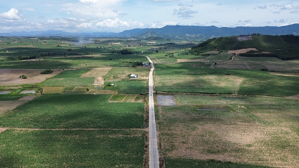 Canh dong mia bat ngan tai huyen Kbang. Anh: Thanh Tuan 