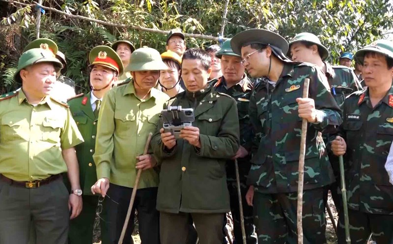 Applying digital transformation in forest protection