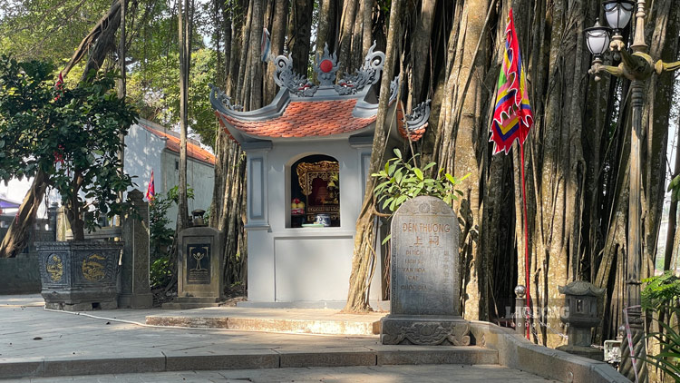 Nam 2012, cay da o den Thuong duoc Hiep hoi bao ve thien nhien va moi truong cong nhan la cay di san Viet Nam. Goc da voi hang tram than re duoc hinh thanh qua nhieu the ky, 20 nguoi om khong xue.