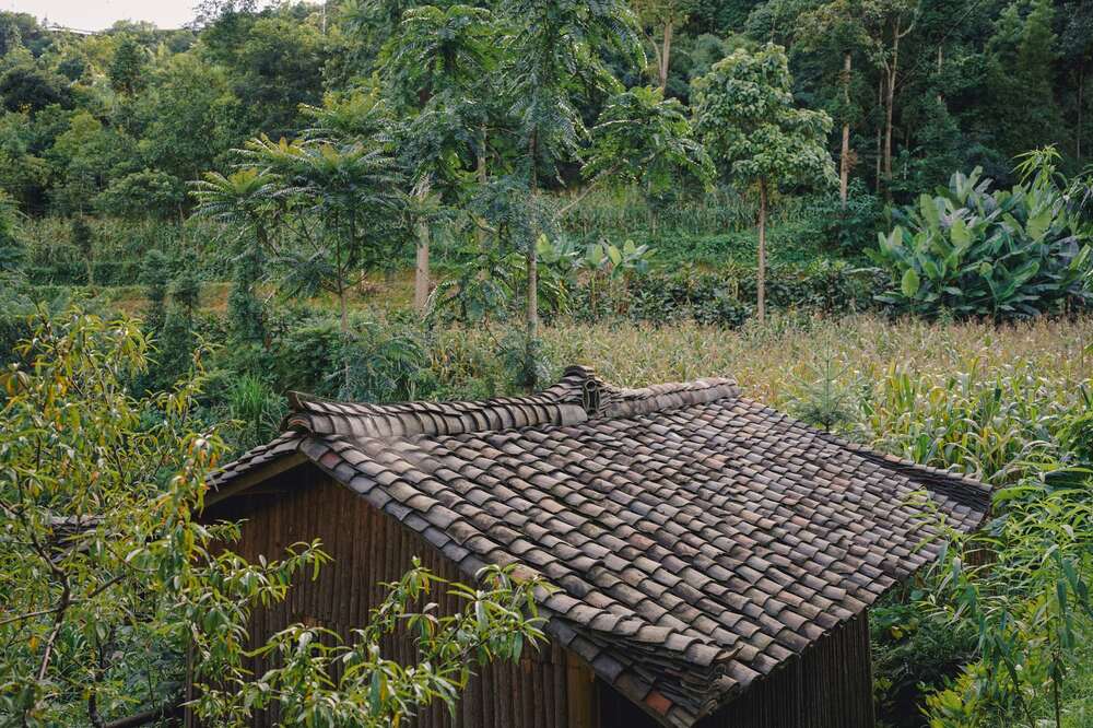 Ve kinh nghiem du lich o Then Pa, anh Hieu cho rang du khach nen danh thoi gian o lang it nhat mot dem de thu gian va tham gia cac hoat dong cung nguoi dan nhu: det vai lanh, nhuom mau, ve hoa tiet tren vai… lam qua luu niem mang ve. 