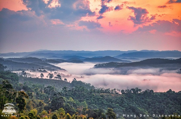 Mang Den mountain forest, where an airport is planned to be built. Photo: Do ​​Do