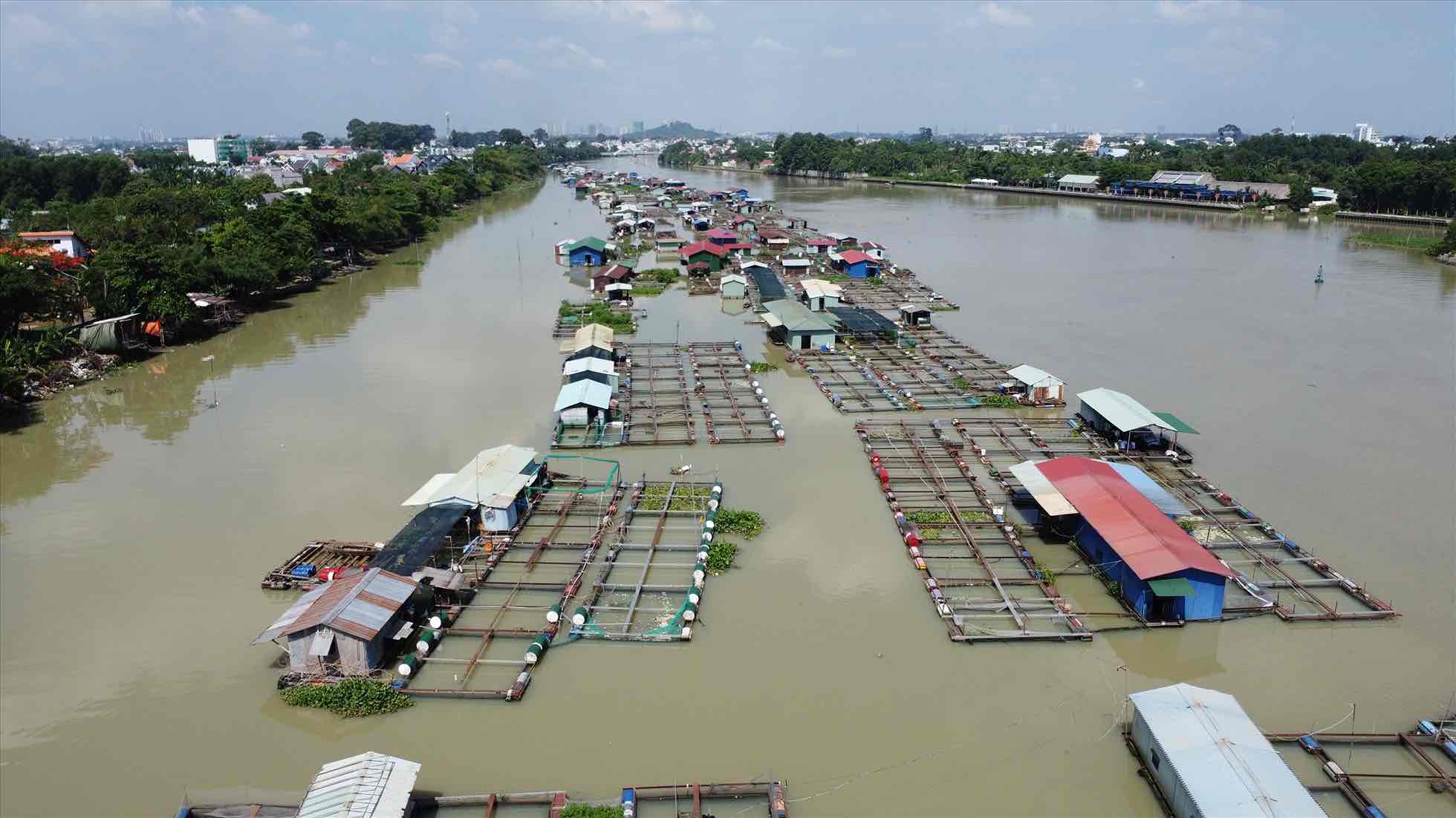 Lang ca be tren song Cai doan TP Bien Hoa. Anh tu lieu: HAC