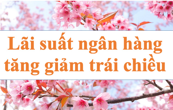 Lãi suất ngân hàng tăng giảm trái chiều. Ảnh minh họa: Hà Vy