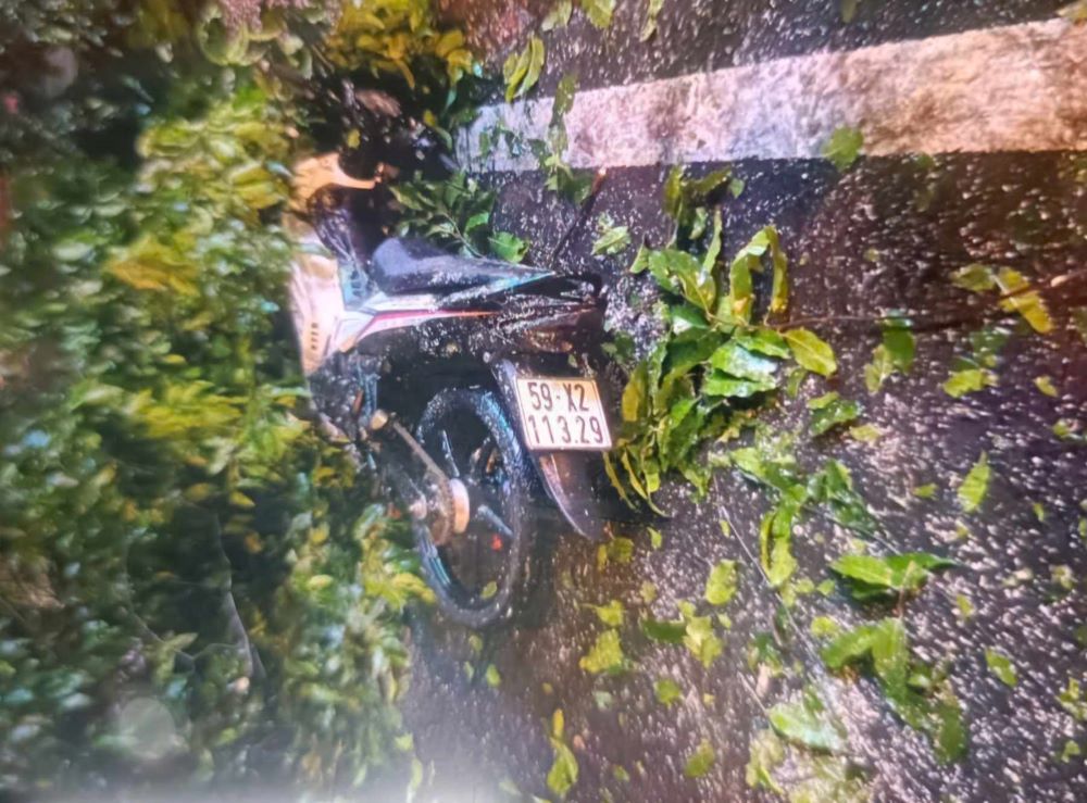 Scene of fallen tree at the intersection of Mac Dinh Chi - Nguyen Dinh Chieu (District 1). Photo: Minh Tam