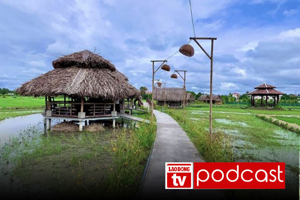 Tin sáng: Đất trồng lúa bỗng thành khu sinh thái trái phép