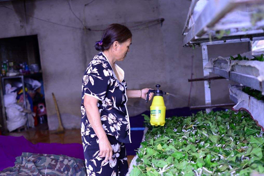 Tam nhiem benh anh huong nhieu den nang suat. Anh: Bao Lam