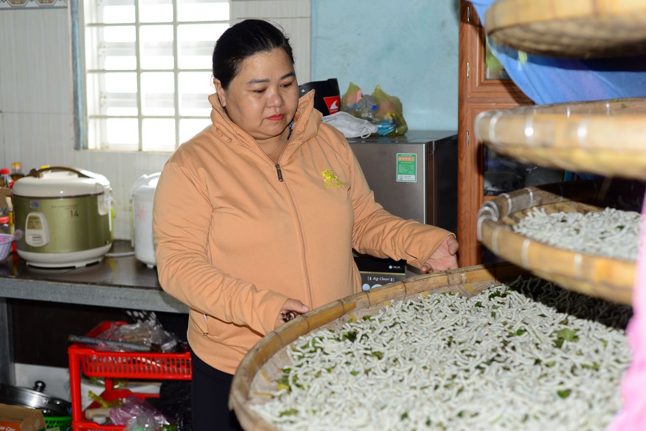 Tam nhiem benh khien nong dan lo lang. Anh: Bao Lam