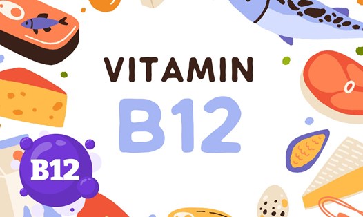 Thực phẩm chứa vitamin B12 giúp kéo dài tuổi thọ. Ảnh ghép: HƯƠNG SƠN