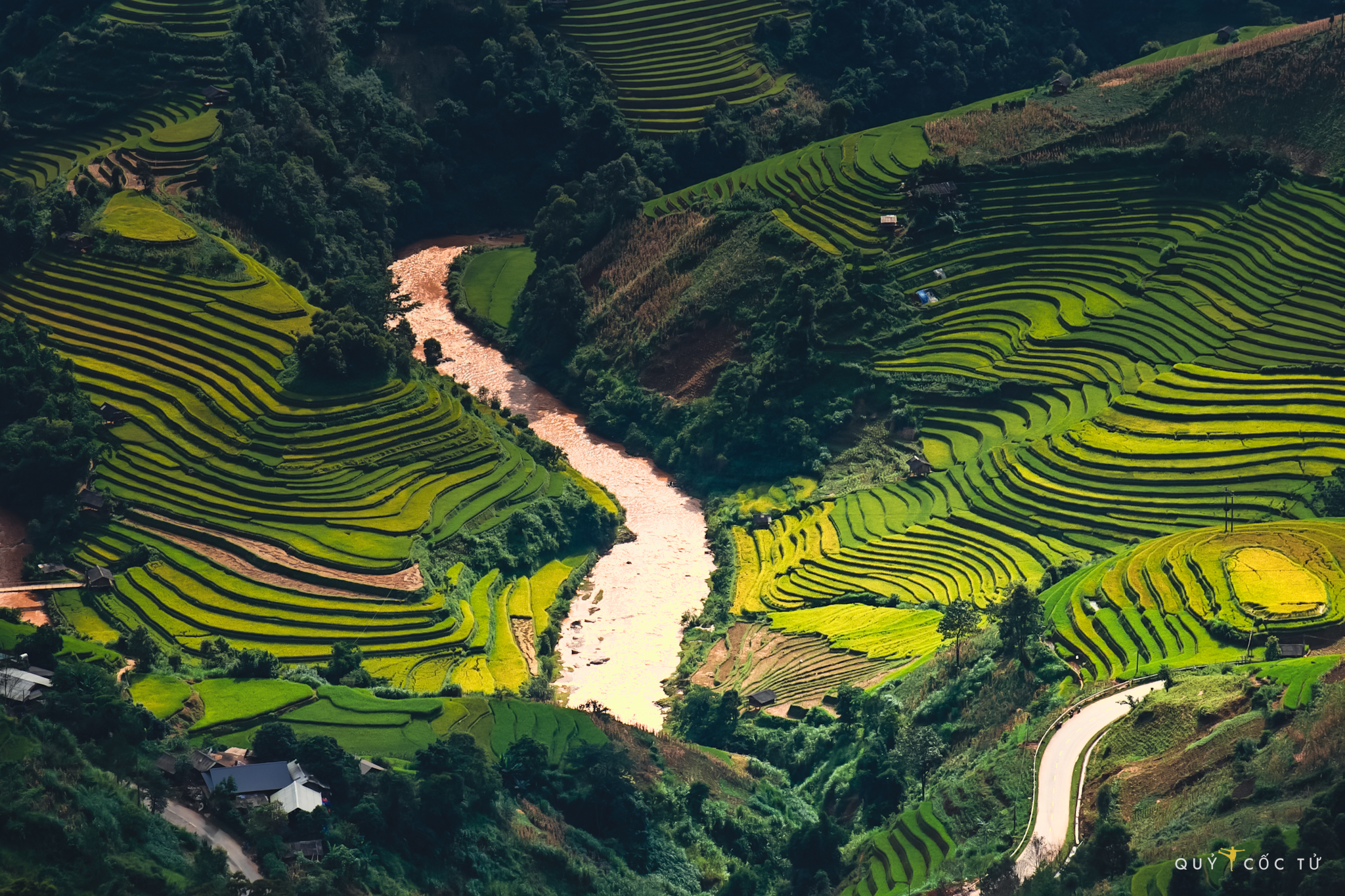 Thang 9, 10 la thoi diem dep nhat cua Tay Bac, Dong Bac, khi dat troi vao thu khong khi mat me, nang diu dang va doi nui phu mot mau vang lua chin. Mua thu nam nay danh dau sau 5 nam moi tro lai voi Yen Bai, Lao Cai, Ha Giang... cua nhiep anh gia, blogger du lich Ngo Tran Hai An (Quy Coc Tu). Anh goi day la nhung cung duong “danh cap thanh xuan” va lan nao di cung lam me muoi tam tri minh.