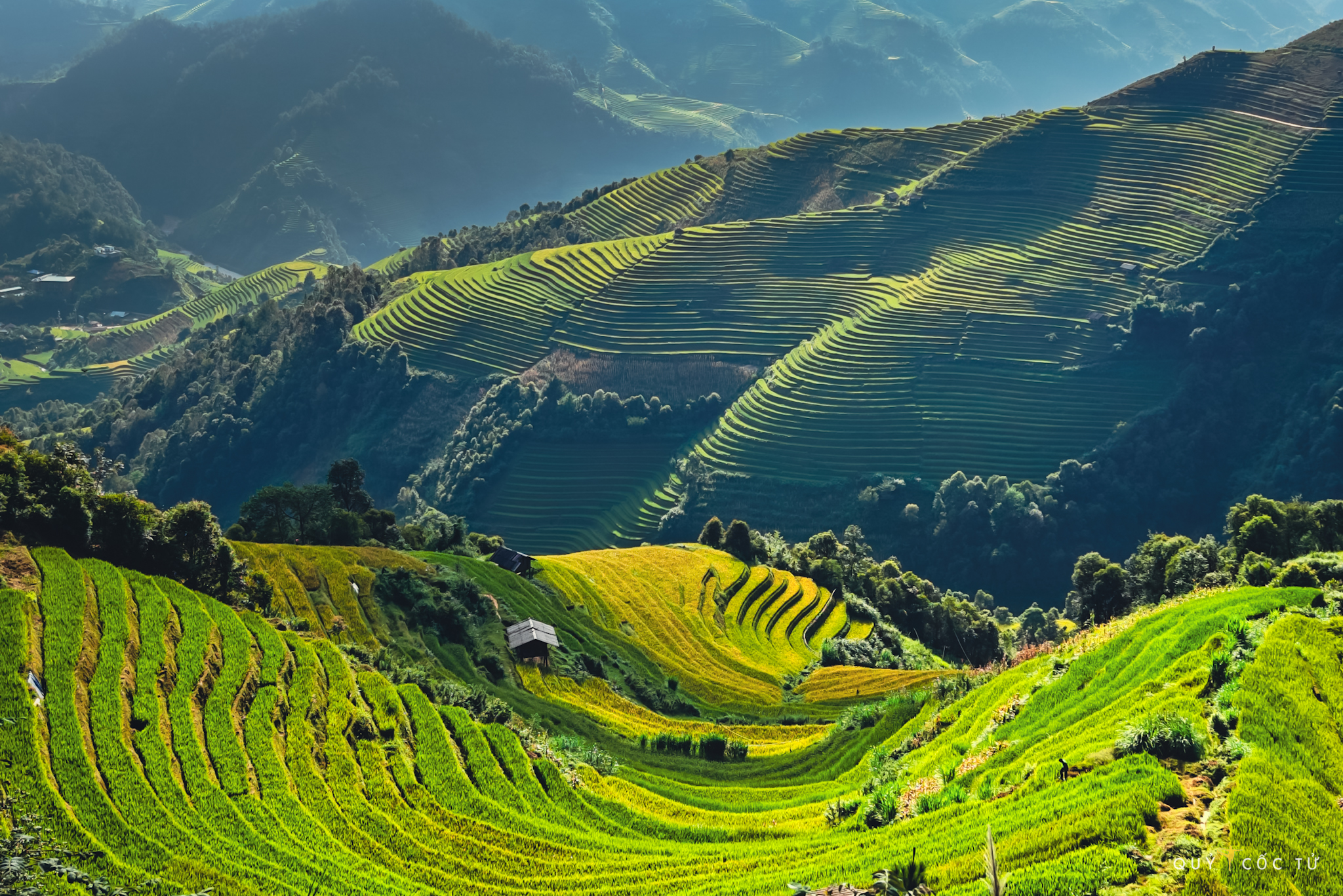 Sau nhieu nam vi vu san tim canh dep nhieu diem den nuoc ngoai, anh Hai An van thon thuc truoc ve dep cua Tay Bac mua thu. “Dung giua menh mong ruong bac thang moi cam nhan duoc ve dep thien nhien hung vi, su tai hoa cua dong bao noi day. Mu Cang Chai mua lua chin, mot ve dep me hoac long nguoi, qua doi kho quen“.