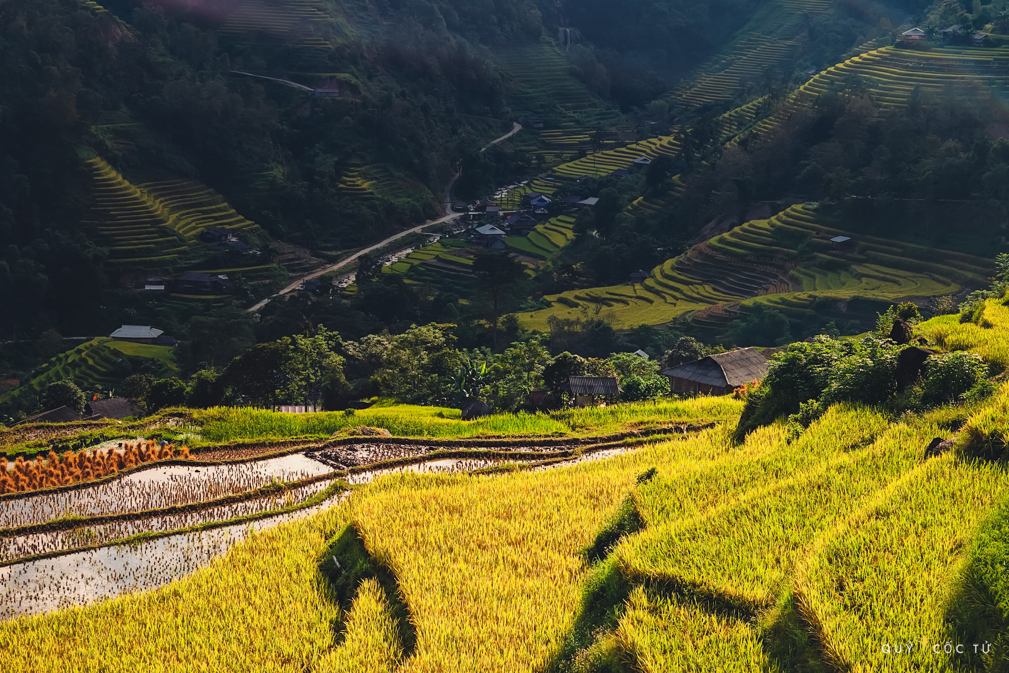 “Nang thu vang uom, lua chin nang triu hat, toa huong thom diu diu. Diem xuyet giua buc tranh vang la nhung mai nha nho xinh cua nguoi dan toc, tao nen khung canh binh yen, tho mong. Tieng suoi roc rach hoa cung tieng cuoi noi ron rang cua nguoi dan thu hoach lua, ve nen mot ban hoa ca mua vang day suc song“, anh Hai An ngap tran cam xuc khi tro lai Ha Giang dung mua lua chin.