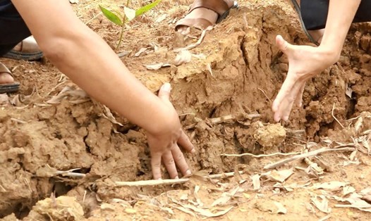 Vết nứt trên núi Sồi có chỗ đã tụt sâu 30 - 50cm, nguy cơ sạt lở rất cao. Ảnh: Thanh Nguyên.