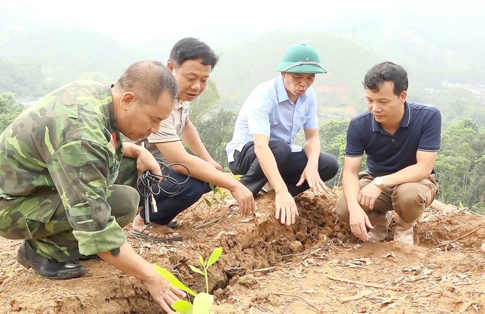 Co quan chuc nang huyen Son Duong (Tuyen Quang) kiem tra tai khu vuc xuat hien vet nut o nui Soi. Anh: Thanh Nguyen.