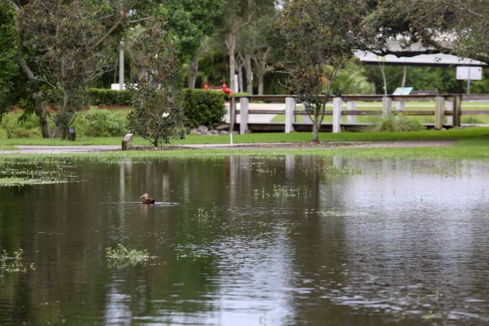 Ngap lut da xuat hien tai mot so khu vuc gan bien Vero, Florida. Anh: USA TODAY