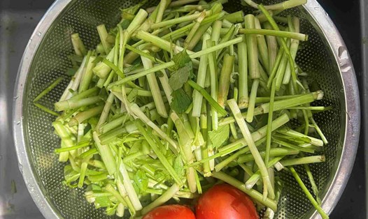 Rau cần hỗ trợ hạ đường huyết và giảm cân hiệu quả khi bổ sung vào chế độ ăn. Ảnh: Kiều Vũ