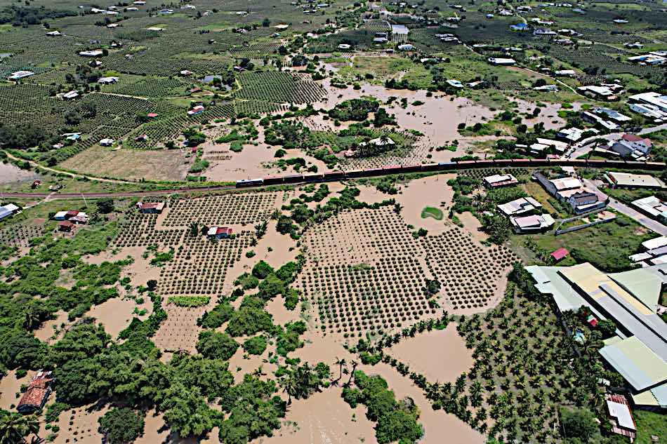 Many dragon fruit gardens flooded in Binh Thuan