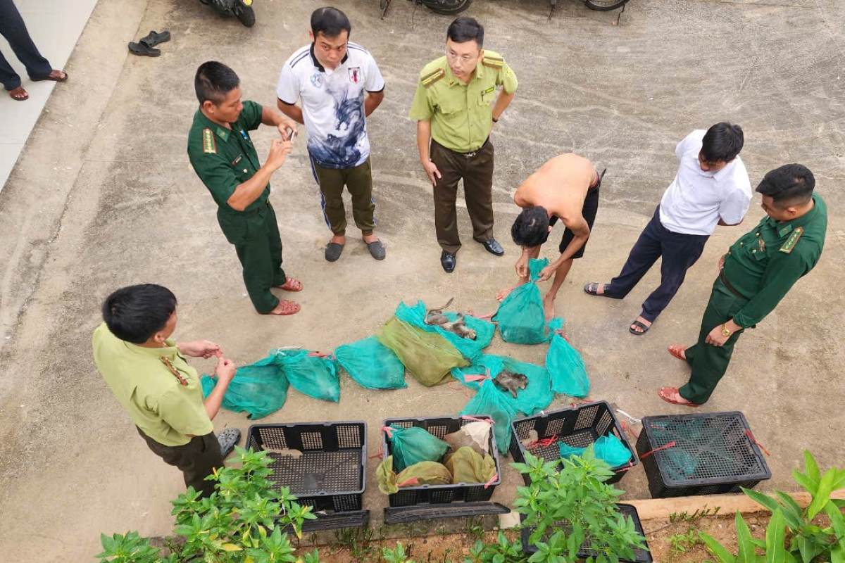 Caught red-handed transporting 17 monkeys illegally. Photo: CD National Park