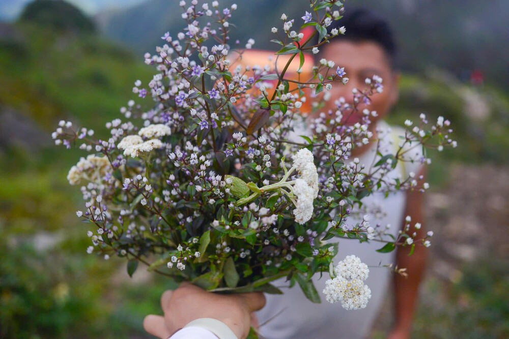 Cũng vì lý do này mà chị Nguyễn Thu Hương (nhân viên văn phòng tại Hà Nội) đã quyết định thực hiện kế hoạch đến thăm Tà Chì Nhù: 