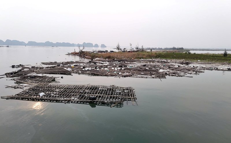Trash and bamboo rafts drift along the shore of Ha Long Bay. Photo: Duong Hoang