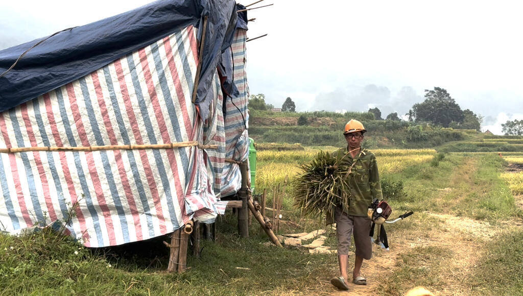 The tents in the middle of the fields are home to dozens of households in Rai hamlet, Tuan Dao commune, Lac Son district while they "flee" from the landslide. Photo: Khanh Linh
