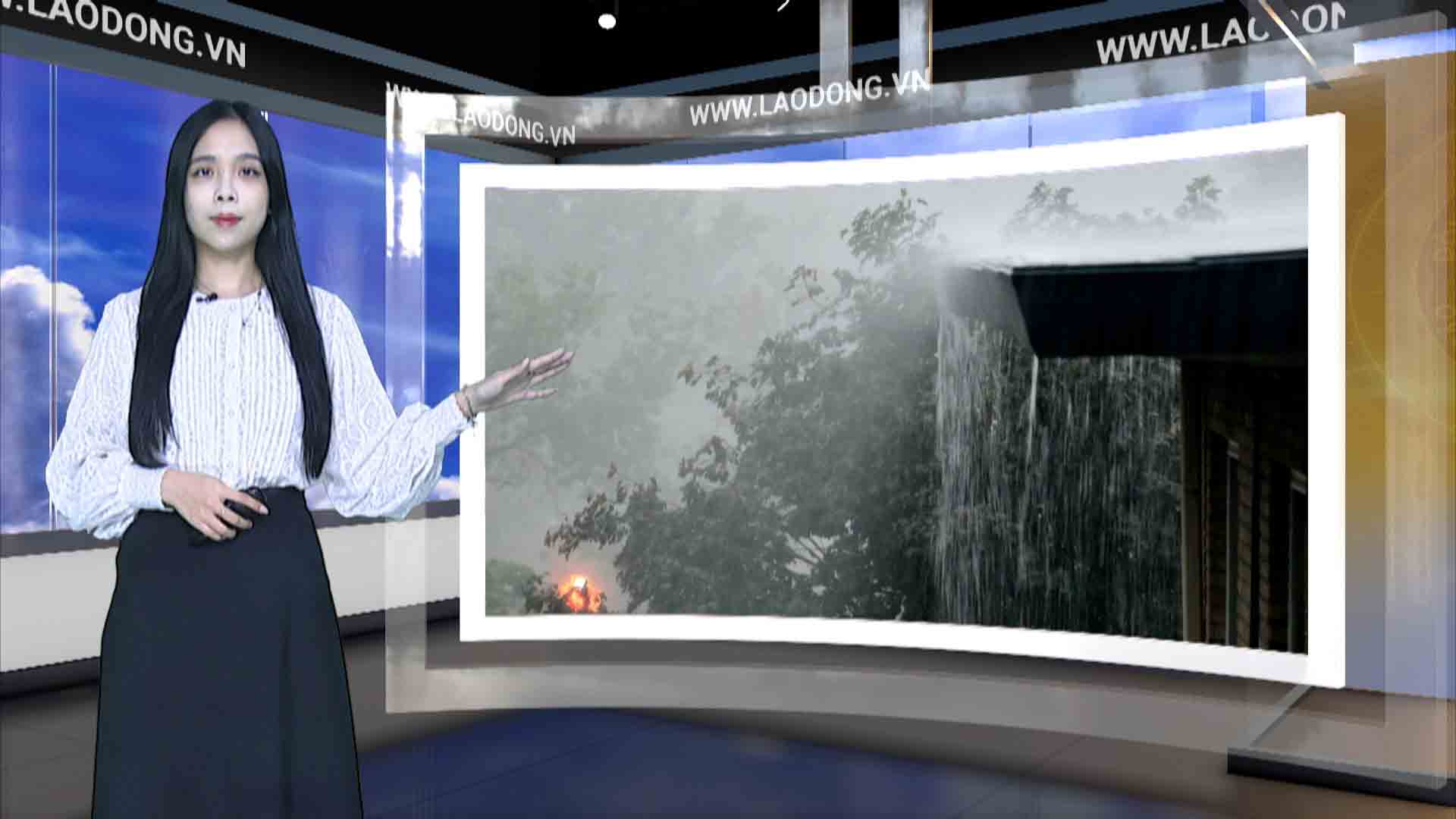 Weather forecast tonight and tomorrow 2.11