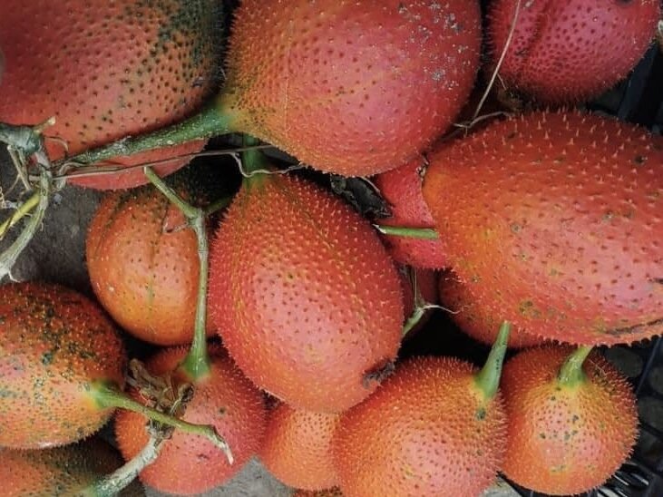 This is a fruit that can help lower blood sugar, but before adding it to your diet, consult your doctor. Photo: Kieu Vu