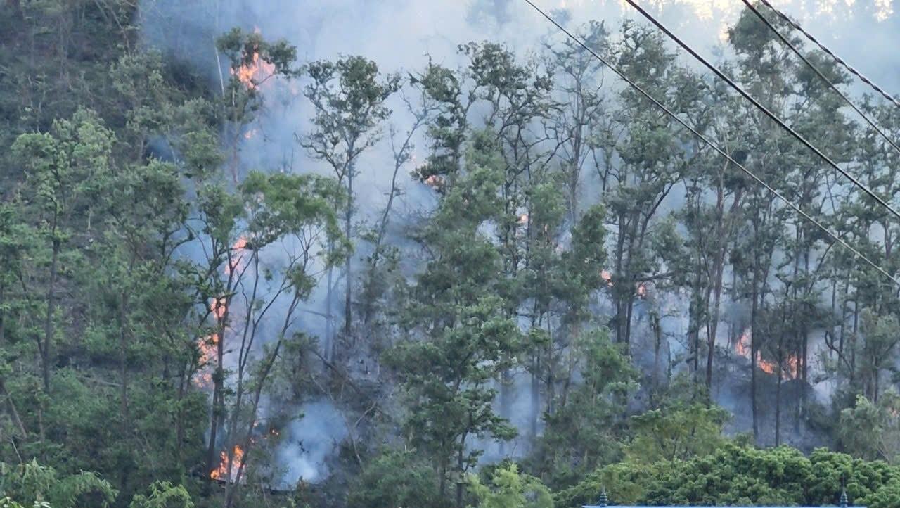 On the afternoon of November 1, two consecutive forest fires broke out in Kinh Mon town, Hai Duong province. Photo: Provided by local people