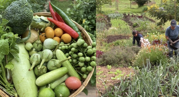 A simple housework that helps control blood sugar. Graphics: Huong Giang