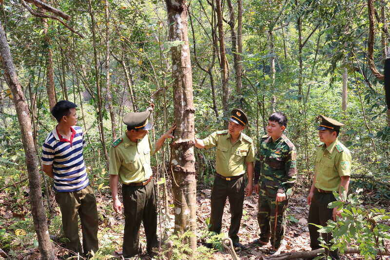 Many forest areas in Sop Cop district, Son La province are assigned to border guards for management. Photo: Khanh Linh