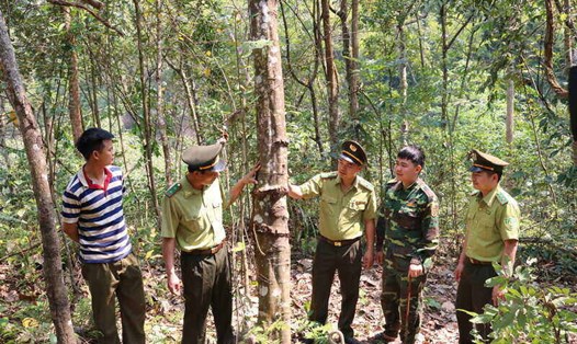 Nhiều diện tích rừng tại huyện Sốp Cộp, tỉnh Sơn La được giao cho các đồn biên phòng quản lý. Ảnh: Khánh Linh