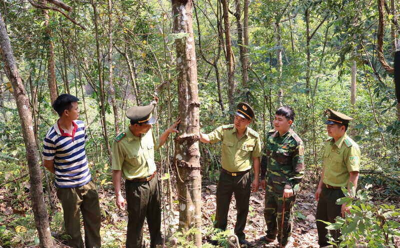 Many forest areas in Sop Cop district, Son La province are assigned to border guards for management. Photo: Khanh Linh