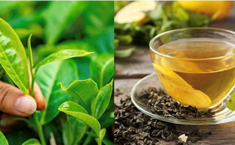 Drinking green tea every day not only helps control visceral fat but also helps protect cardiovascular health and maintain a healthy weight. Photo: Huong Giang.
