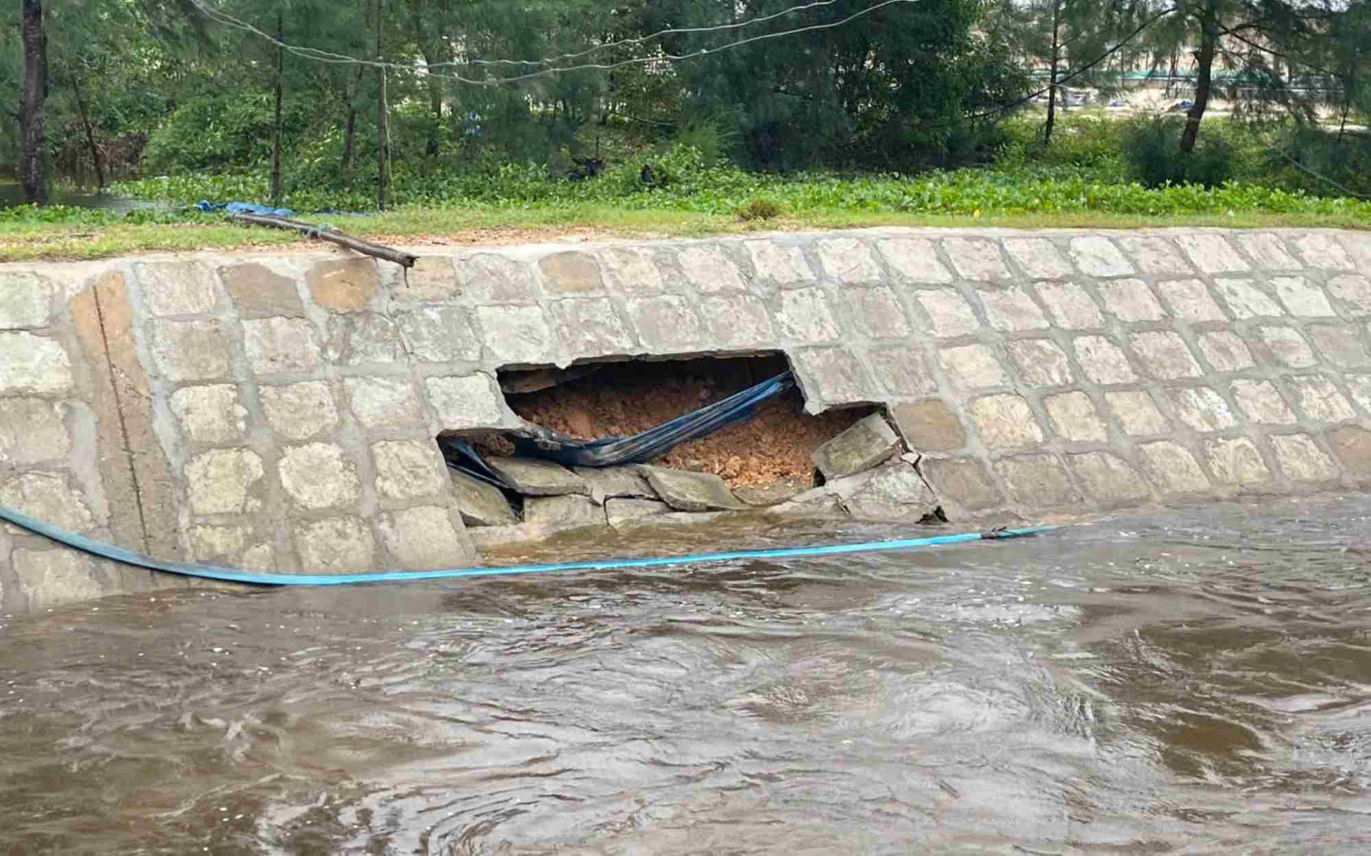 The flood control dyke is degraded, making it difficult to prevent floods. Photo: H. Tho