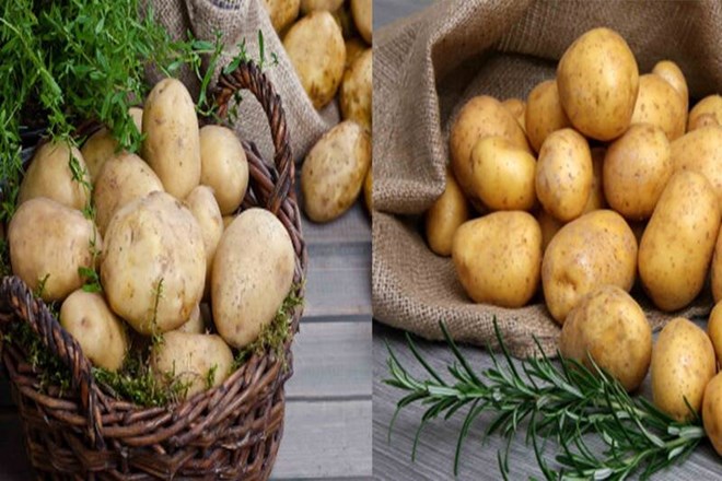 Eating boiled potatoes helps you lose weight. Graphics: Ha May