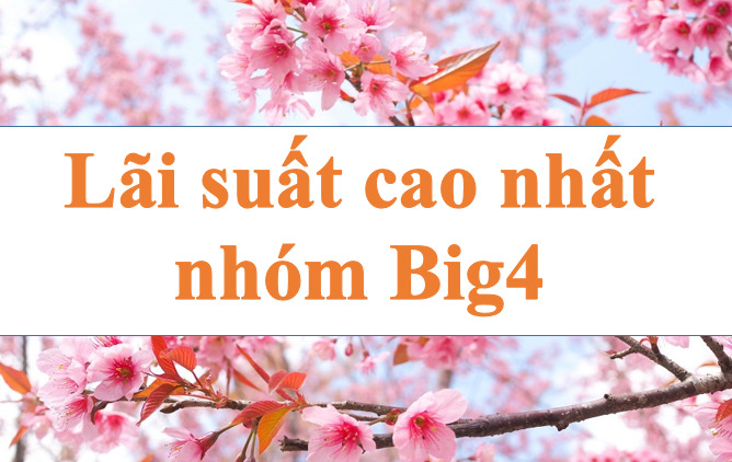 Update the highest interest rate of Big4 group. Illustration: Ha Vy