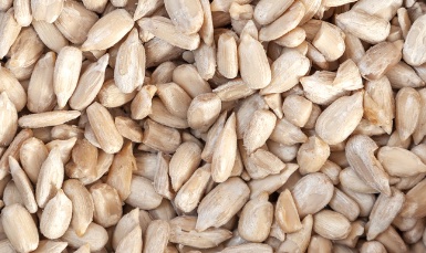 A reasonable diet combining sunflower seeds will support weight loss and supplement omega-3. Photo: Kieu Vu