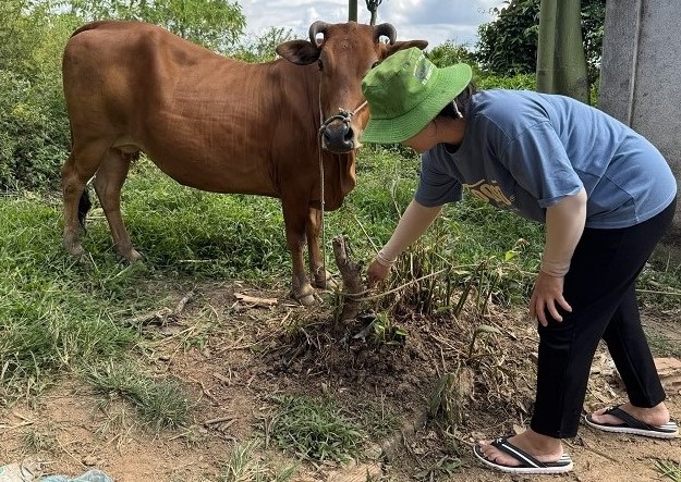 Over the past 3 years, the number of poor and near-poor households in Krong No district has decreased sharply. Photo: Bao Trung