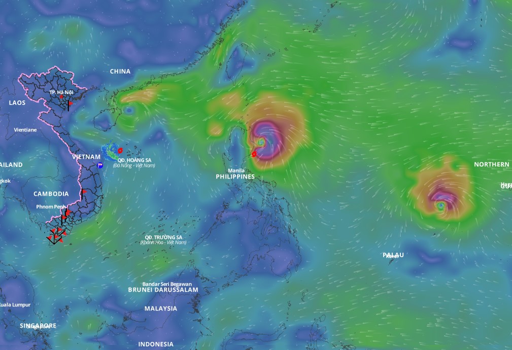 The East Sea is expected to welcome storm No. 8 Toraji in the next 24 hours. Source: Vietnam Disaster Monitoring System