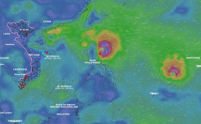 The East Sea is expected to welcome storm No. 8 Toraji in the next 24 hours. Source: Vietnam Disaster Monitoring System