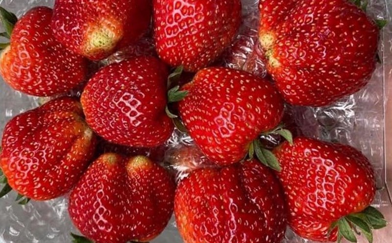 Strawberries are one of the fruits that are good for controlling blood sugar. Photo: Kieu Vu.