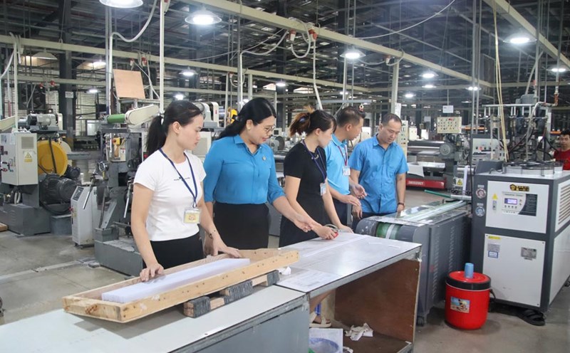 Workers at Tien Phong Thai Binh Company Limited. Photo: Ha Vi
