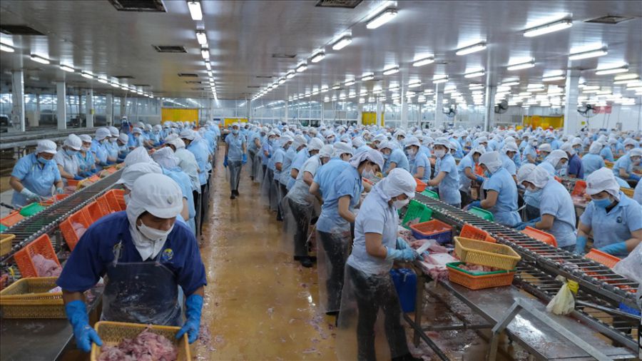 Production activities at a business in Can Tho City. Photo: Phong Linh