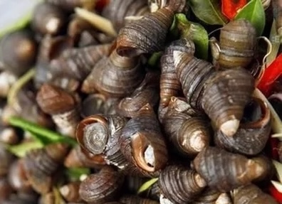 Snails are a food with a low glycemic index. Photo: Kieu Vu