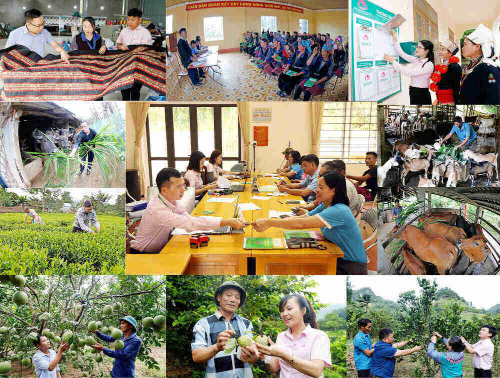 Tin dung chinh sach xa hoi da tro thanh mot “diem sang”, la mot “tru cot” trong he thong chinh sach giam ngheo, bao dam an sinh xa hoi, dap ung nguyen vong cua nhan dan, dac biet la nguoi ngheo va doi tuong yeu the trong xa hoi. Ảnh: NHCSXH