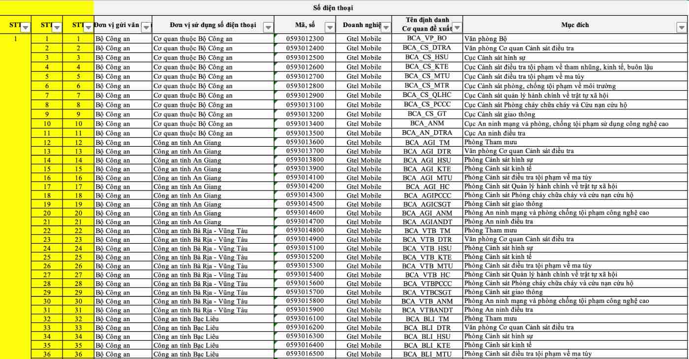 Danh sach ten dinh danh so dien thoai co quan nha nuoc. Anh: MIC