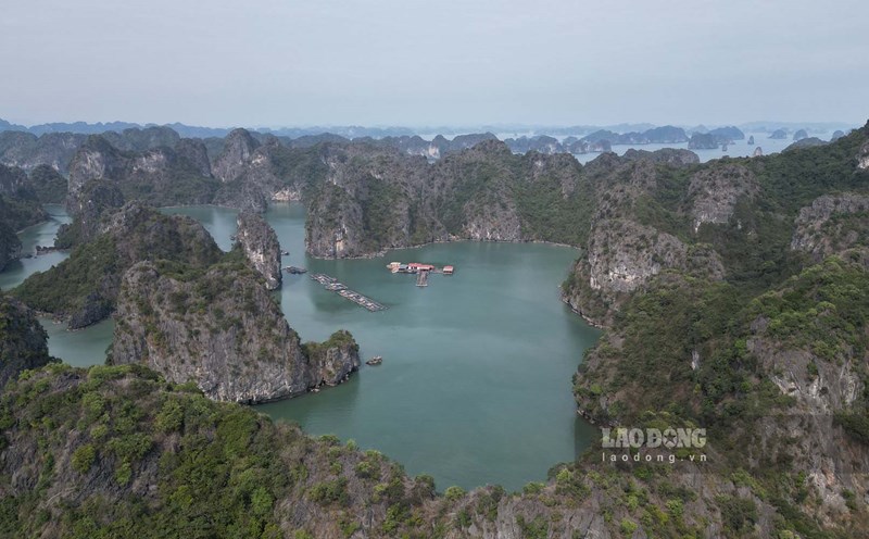 Vung Vieng fishing village is one of the ancient fishing villages in the core area of the World Natural Heritage Ha Long Bay. Photo: Nguyen Hung