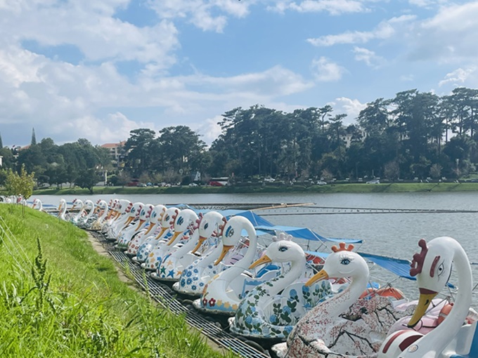 The People's Committee of Da Lat city has directed to temporarily suspend the duck pedal service on Xuan Huong Lake. Photo: Pham Quang