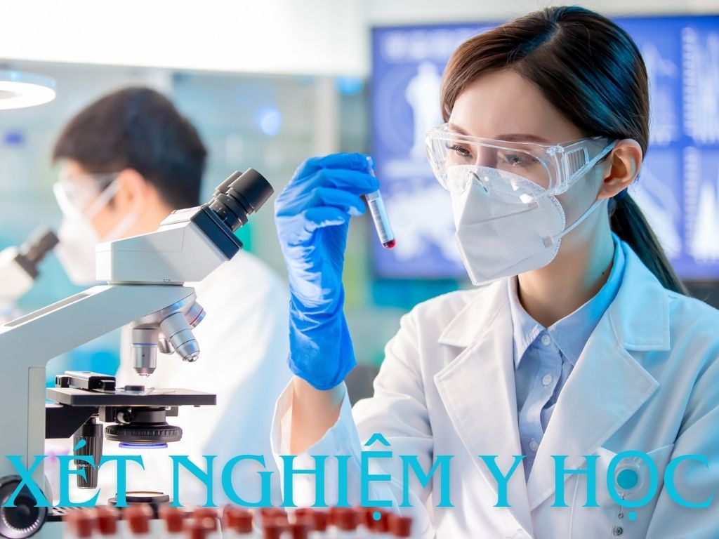 Granting of testing practice licenses as prescribed in Point d Clause 3 Article 127 Decree No. 96/2023/ND-CP. Graphics: Huong Giang